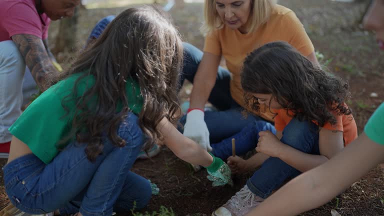 Huntington, VA Tree Care Services Company