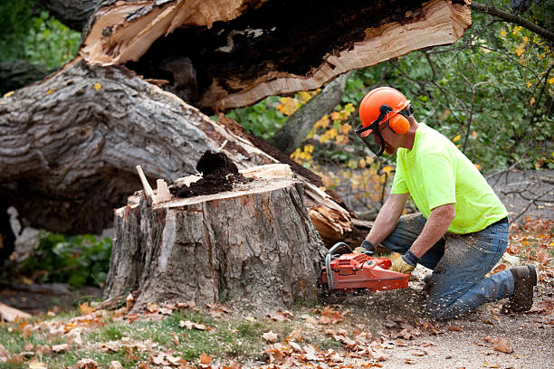 Soil Testing and Treatment in Huntington, VA